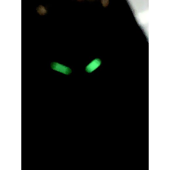 Armitron Women's Watch 75/2475 Green Dial Day Date Quartz Two Tone Steel 25mm - Picture 7 of 14